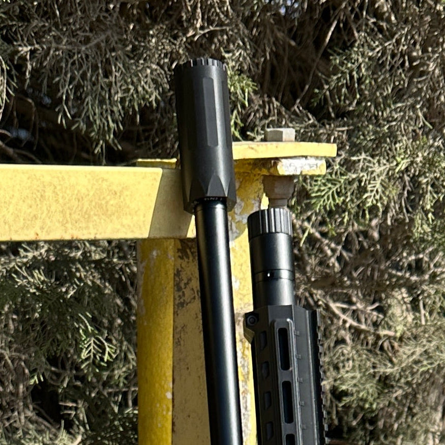 Airgun with Moderator