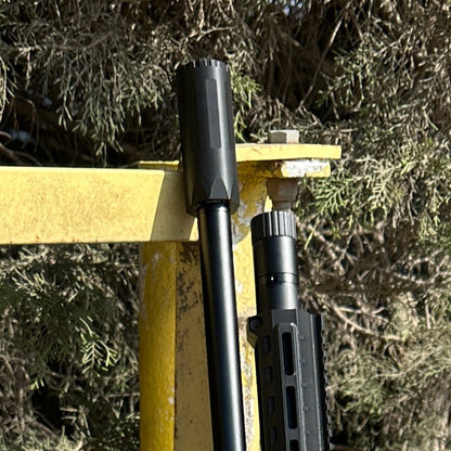 Airgun with Moderator